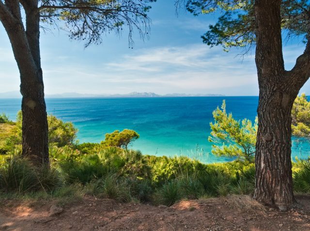 Alcudia Bay, Mallorca, Balears
